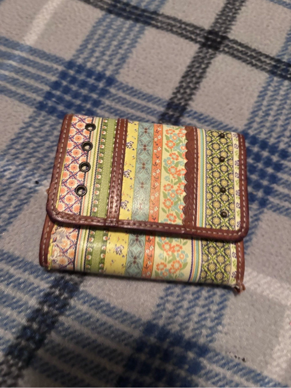 Multi-Color Striped Pattern Women's Wallet - Brown Trim
